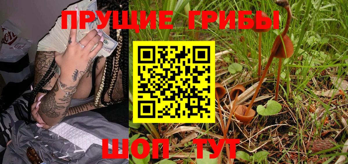 Галлюциногенные грибы Psilocybe  Вход с VPN  Галлюциногенные грибы Magic Shrooms  Верхняя Салда 