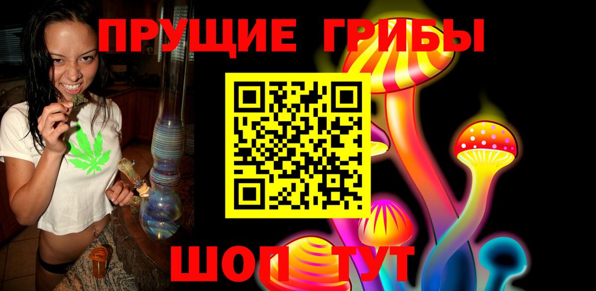 Псилоцибиновые грибы Psilocybe Верхняя Салда